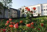 galeria_ucz