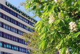 galeria_ucz