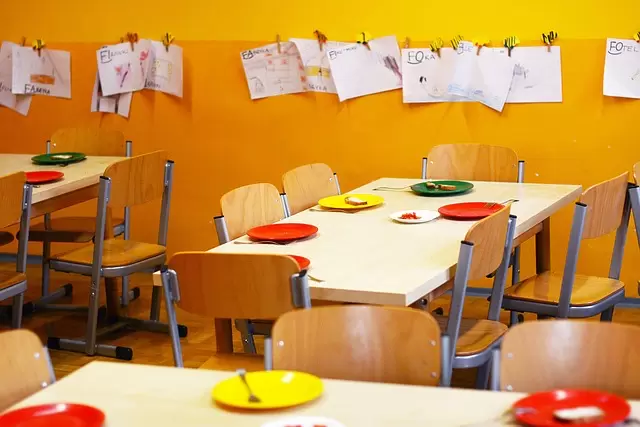  zatrudnienie pedagogika 