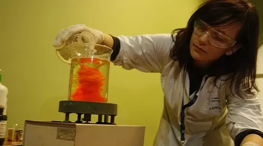 Przyroda – źródłem inspiracji i wiedzy  